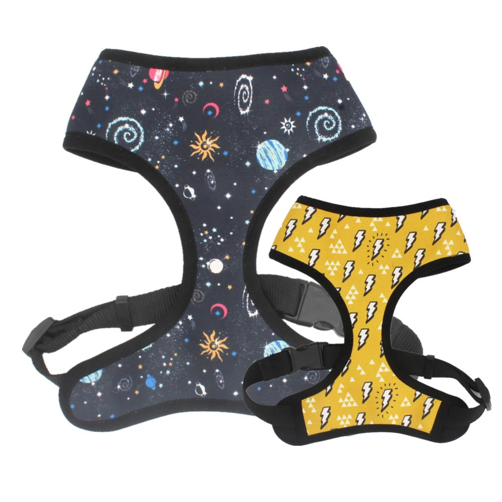 The Sammi: Cosmic Flash Reversible Harness