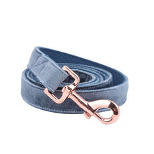 Load image into Gallery viewer, The Buffy: Light Blue Velvet Harness &amp; Leash Set
