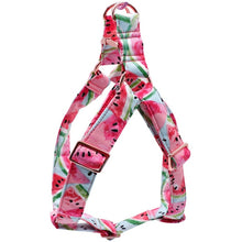 Load image into Gallery viewer, The Stevie: Watermelon Bow Tie Matching Set
