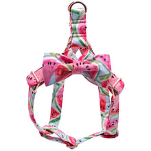 Load image into Gallery viewer, The Stevie: Watermelon Bow Tie Matching Set
