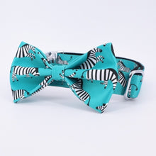 Load image into Gallery viewer, The Sammi: I Need a Zebra (teal) Harness, Collar, &amp; Leash
