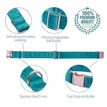 Load image into Gallery viewer, The Buffy: Teal Velvet Collar &amp; Leash Set
