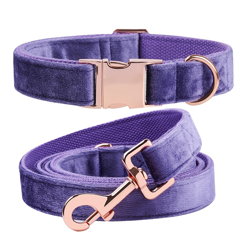 The Buffy: Bright Purple Velvet Collar & Leash Set