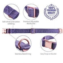 Load image into Gallery viewer, The Buffy: Bright Purple Velvet Collar &amp; Leash Set
