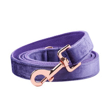 Load image into Gallery viewer, The Buffy: Bright Purple Velvet Collar &amp; Leash Set
